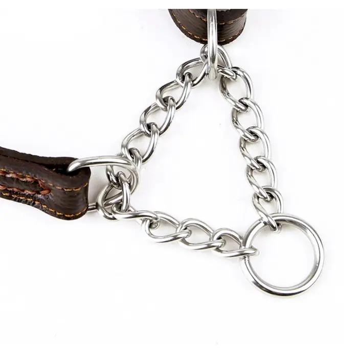 Collier en cuir véritable pour chien de compagnie