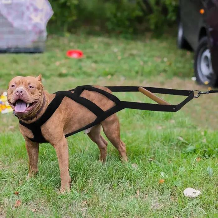 Poids de traction SFP durable pour gros chiens
