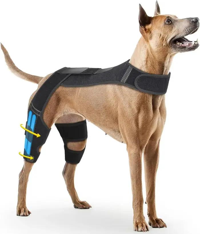 Attelles de genou pour chien pour pattes arrière, soutien du genou pour chiens, soin des ligaments c