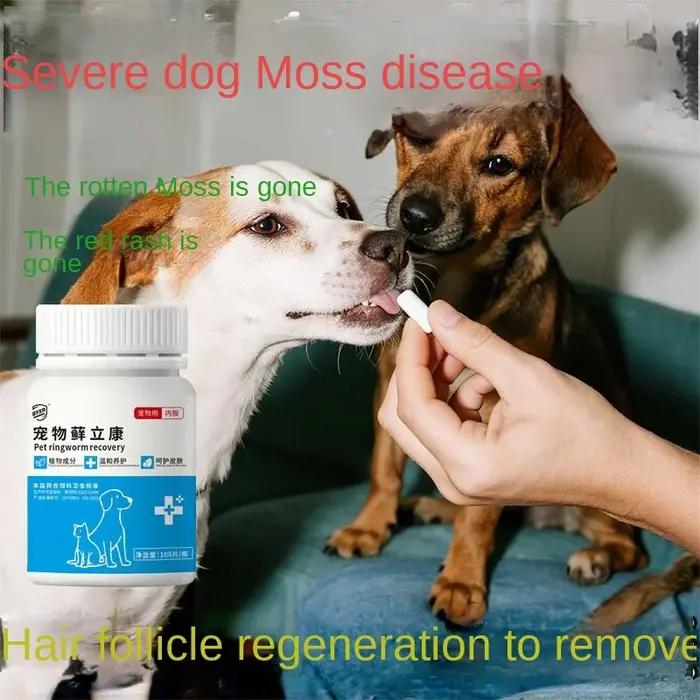 Comprimés de teigne de chat et de chien pour démangeaisons