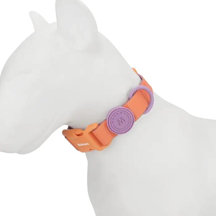 Collier pour animaux de compagnie pour chiot et petit chien