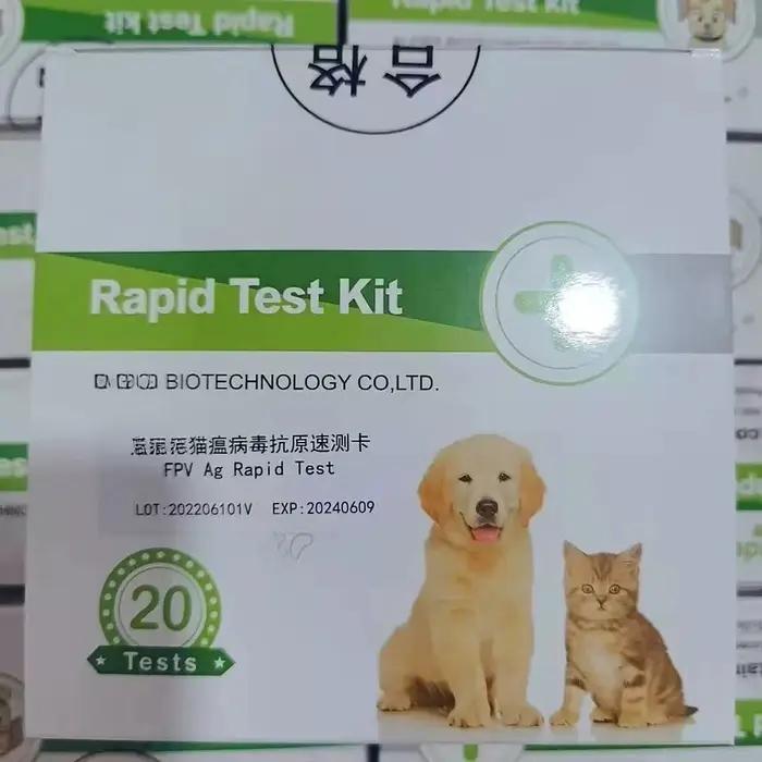 Carte de test de détection du parvovirus canin CPV, 20 copies