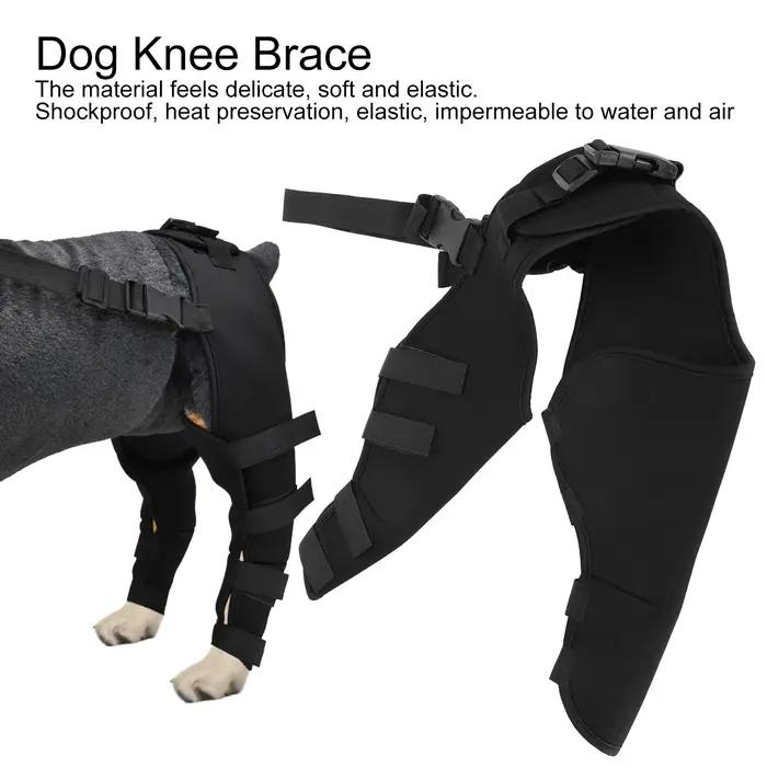 Protecteur de jambes arrière pour chien