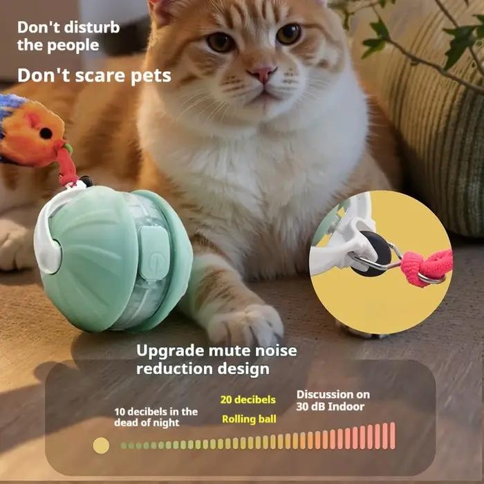 Jouets interactifs pour chiens