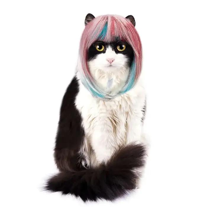 Perruque de Costume de chien et de chat