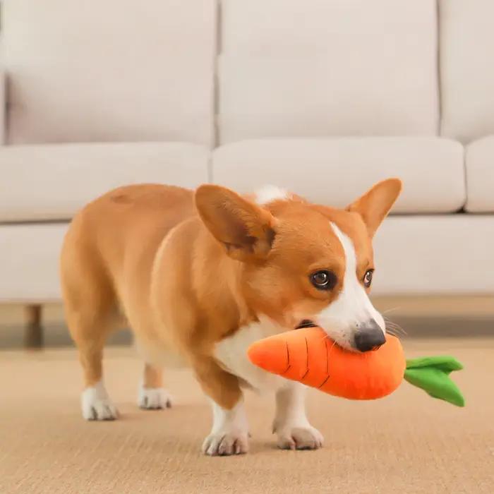 HOOPET chien jouet animal de compagnie carotte en peluche
