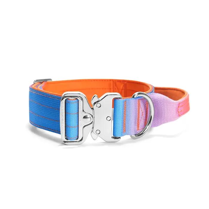 Ensemble collier et laisse d'entraînement pour chien de taille moyenne à grande, pour Dogo Argentino