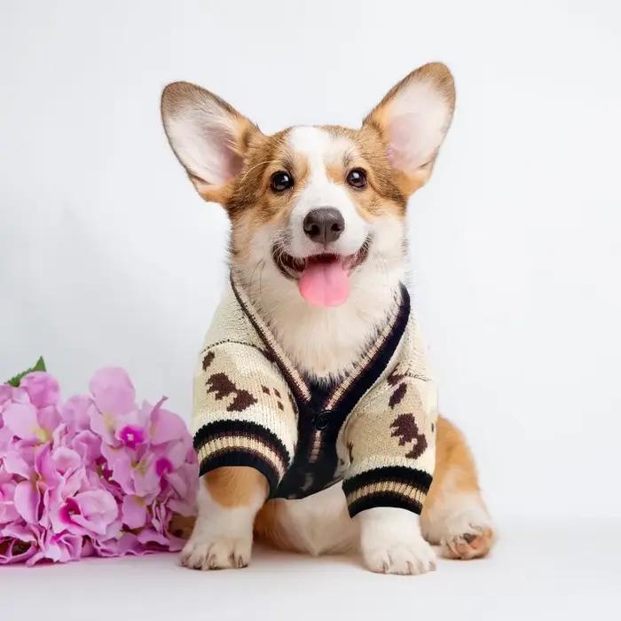 Pull en coton 100% pour animaux de compagnie classique, élégant et confortable pour chiens, chats, chiots et autres petits animaux occasions spéciales