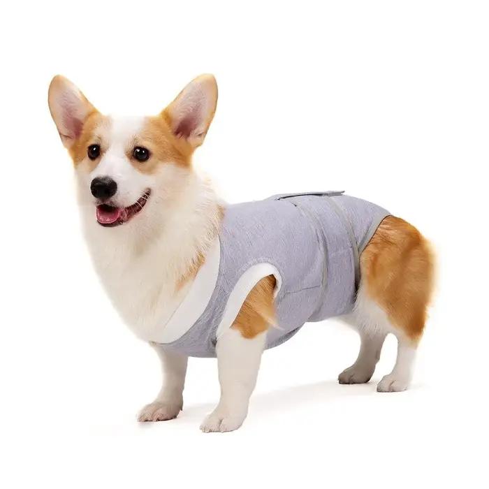 Combinaison de Stérilisation Ajustable pour Chien