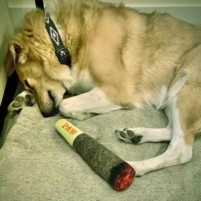 Jouet en forme de cigare pour chiens, peluche grinçante en polaire, blanc ou vert, jouet à mâcher pour chiots et chiens moyens, occasion spéciale pour votre animal de compagnon
