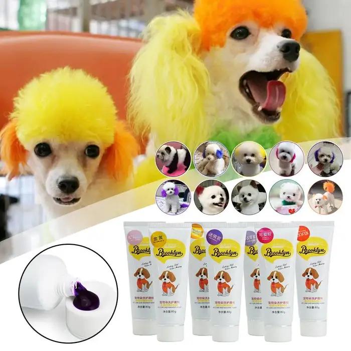 Crème colorante pour poils d'animaux de compagnie semi-permanente application facile pour chiens et chats avec couleurs vibrantes pour événements spéciaux