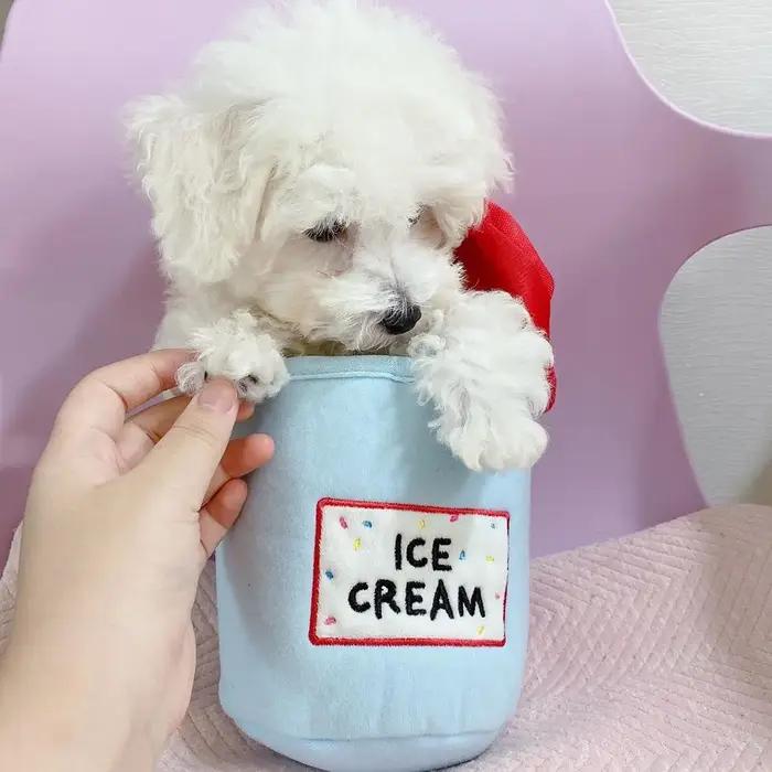Nouveau jouet en peluche pour chien seau à crème glacée jouet grinçant balle interactive pour animaux de compagnie occaions spéciales chiens petits et moyens chiots