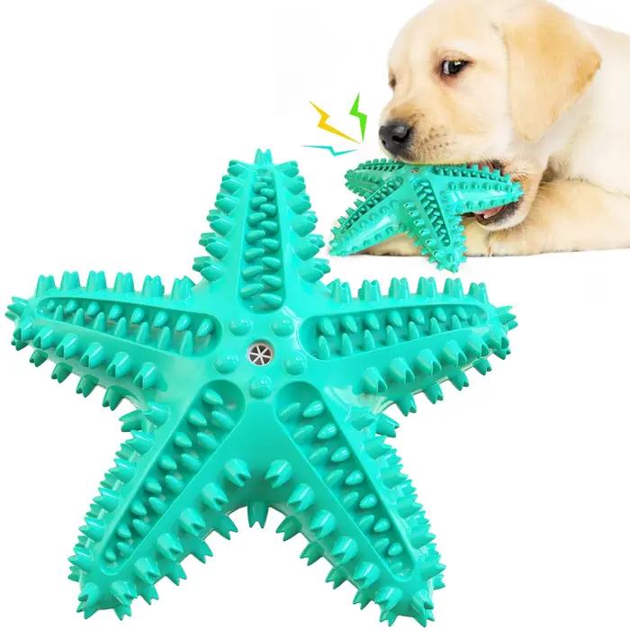 Jouet sonore étoile de mer pour chien