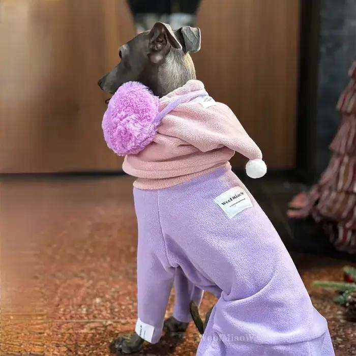 Vêtements pour chiens pour Greyho italien avec chapeau