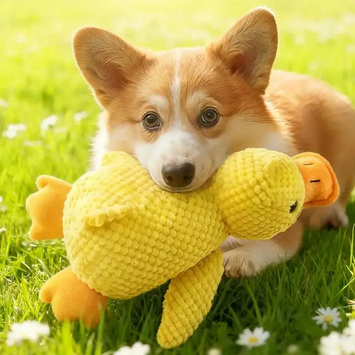 Jouet pour chien Canard Jaune