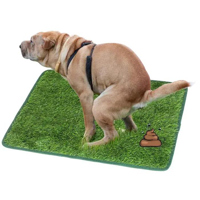 Tapis d'herbe pour chien coussin de pipi gazon artificiel