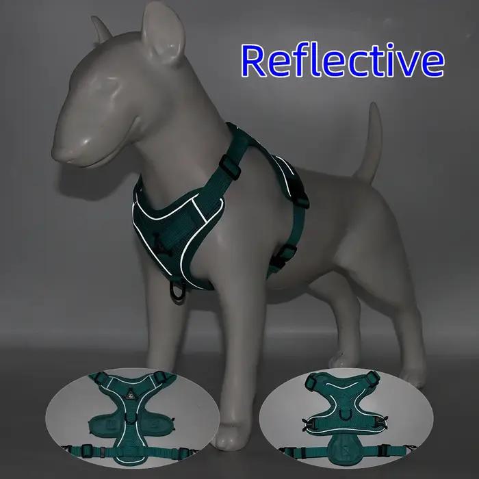 Ensemble harnais et laisse, accessoires pour animaux de compagnie, harnais pour petit chien, bouledo