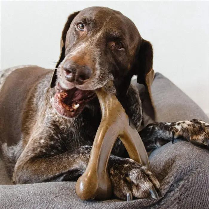 Jouet à mâcher en nylon pour chiens agressifs goût cacahuète durable et sécuritaire pour jouer et nettoyer les dents occassions spéciales chiens chiots grandes races