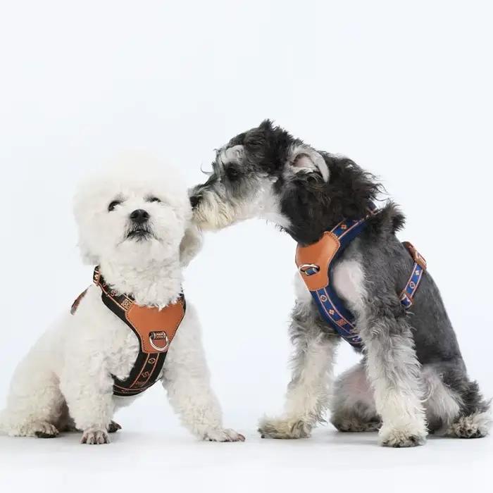 Harnais pour chien durable sangle réglable quatre points anneau en alliage anti-déformation laisse réfléchissante respirante adapté petits chiots et animaux de compagnie occassions spéciales