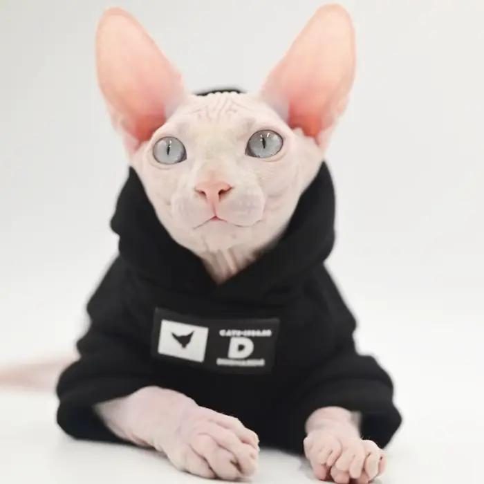 DUOMASUMI Sweat à capuche pour chat pour races sans poils – Pull tendance printemps/automne pour Sph