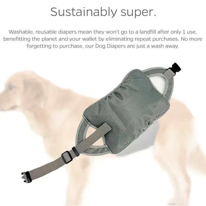 Nouveau pantalon physiologique pour chien mâle, idéal pour les promenades en extérieur, anti-harassement, prévention de la grossesse, pantalon sanitaire pour animaux de compagnie