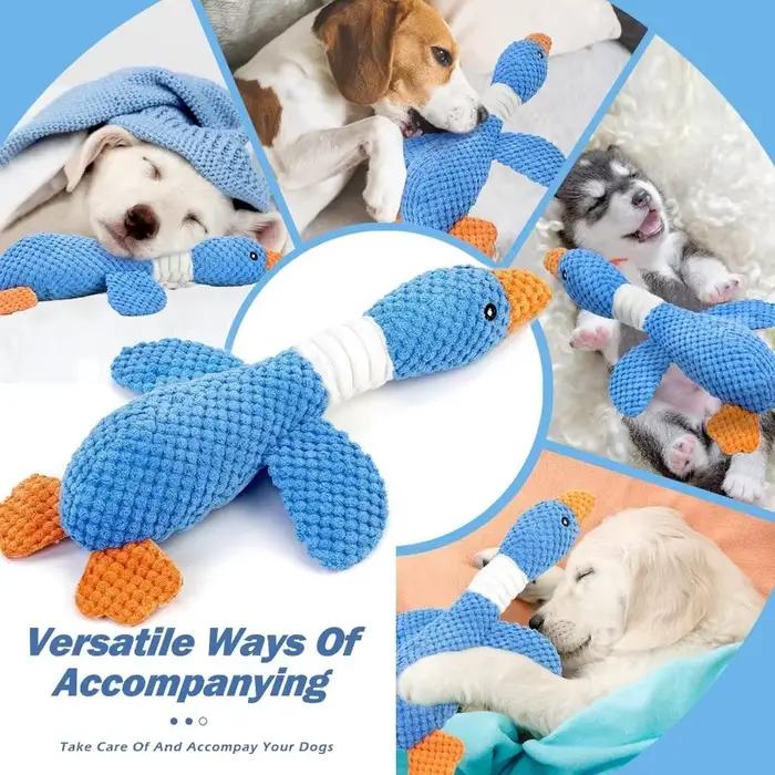 Jouets pour chats et chiens agressifs