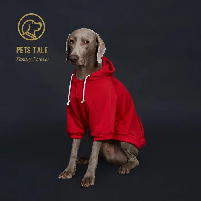 Sweat à capuche pour chien de couleur unie avec poche