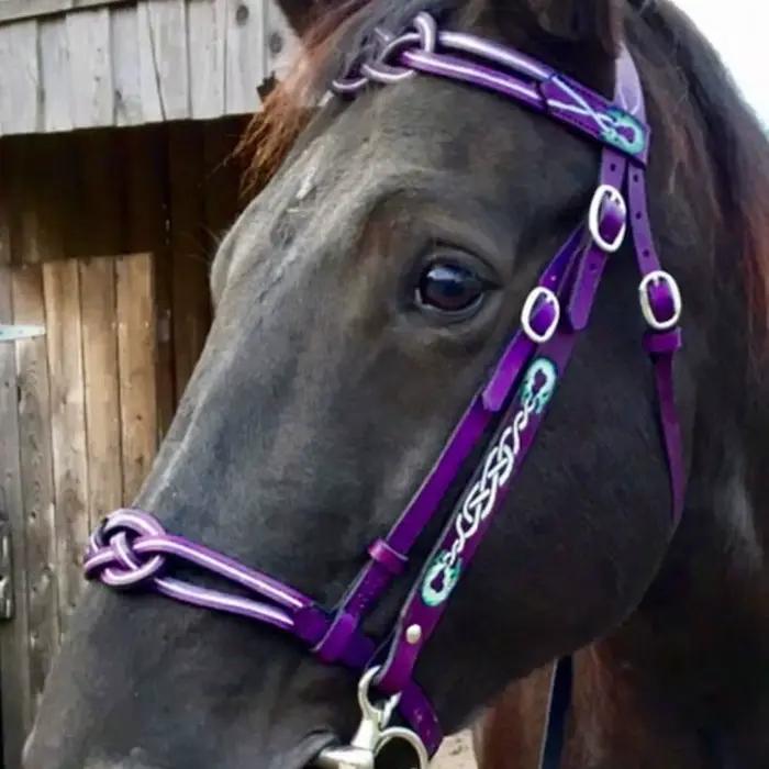 Bridon et Licol en Cuir PU avec Boucle Métallique pour Protéger la Peau du Cheval
