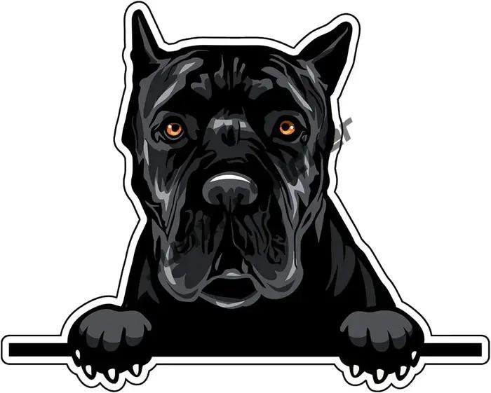 Autocollant de voiture de race de chien de canne italienne
