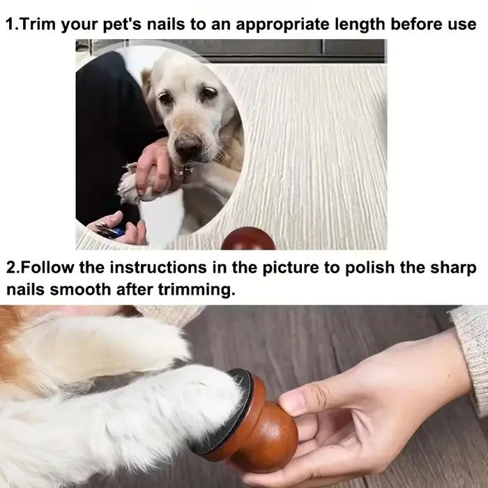 Lime à ongles carrée pour chien