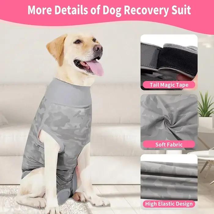 Combinaison de récupération chirurgicale pour chien