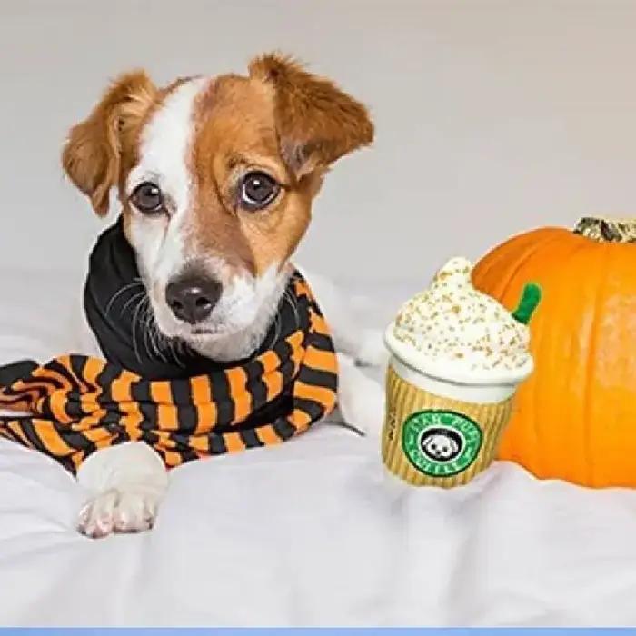 Jouet en peluche pour chien