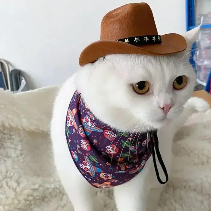 Chapeau de cowboy réglable pour animaux de compagnie