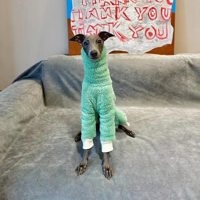 Vêtements d'hiver pour chiens souriants double face