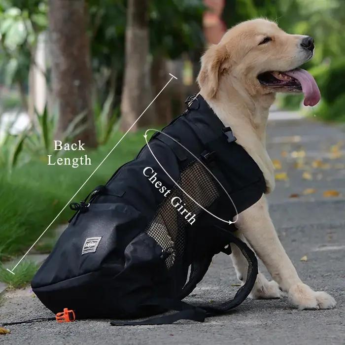 Sac de transport respirant pour chien de grande race pour randonnées cyclistes et voyages en plein air adaptable à toutes les saisons et parfait pour les grandes races comme le Golden Retriever ou le Bulldog