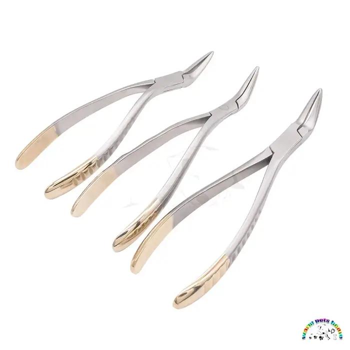 Pince d'extraction dentaire pour chien et chat, outil médical pour hygiène bucco-dentaire, kit de soins vétérinaires pour animaux de compagnie