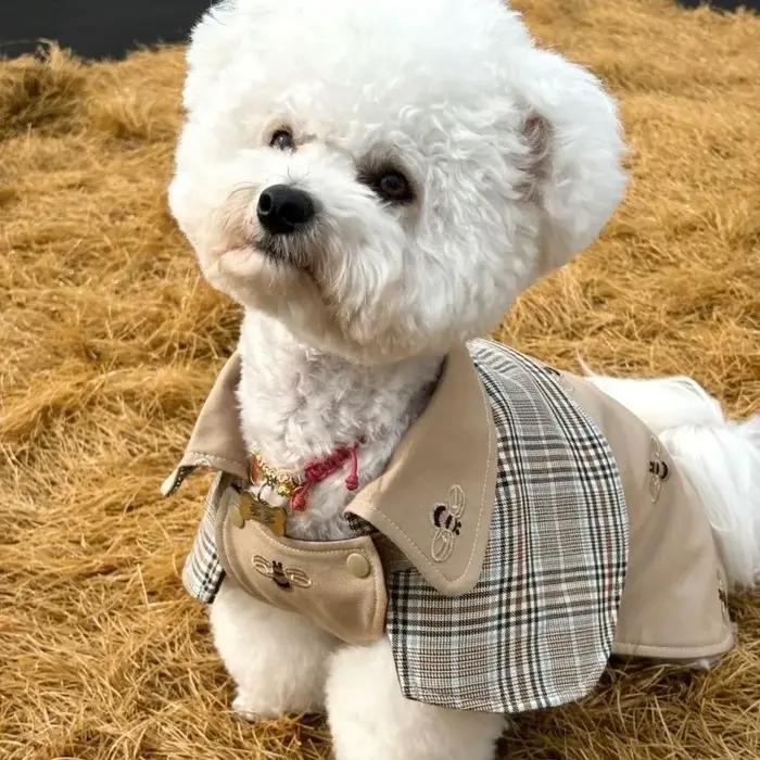 Vêtements pour animaux de compagnie : Cape de chien vintage style détective