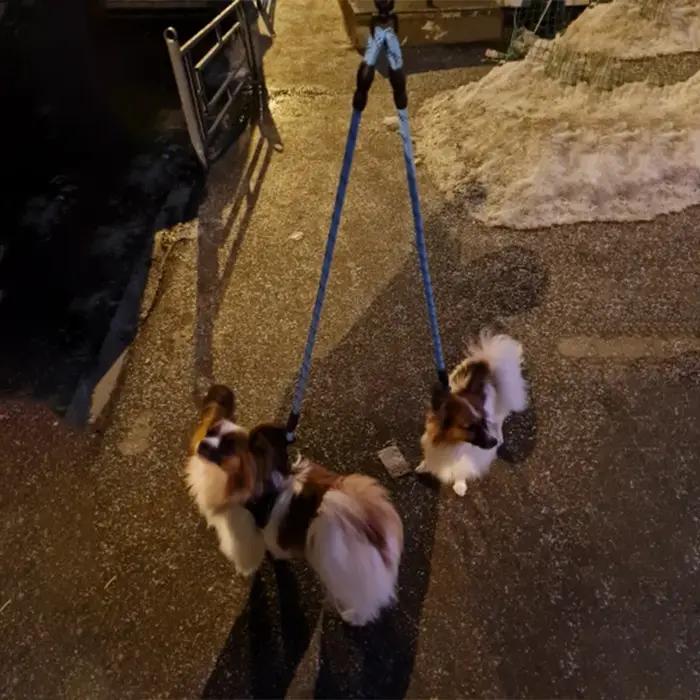 Laisse double réfléchissante pour deux chiens, en nylon, pour promener et dresser les chiots, chiens de petite, moyenne et grande taille.