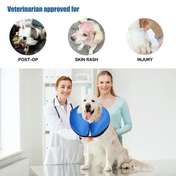 Colliers de protection pour chiens après chirurgie